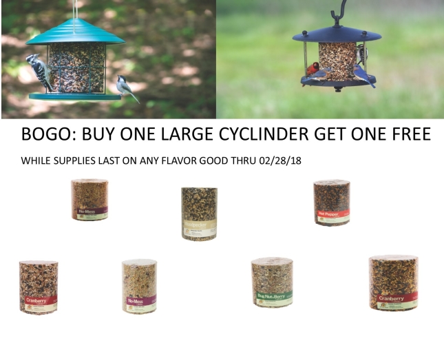 Discount bird outlet supplies