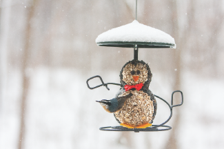 snowman suet feeder